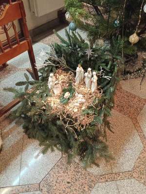 Фотография отзыва, Рождество в Осиновке и Винновке 2026 г.