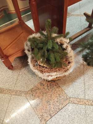 Фотография отзыва, Рождество в Осиновке и Винновке 2026 г.