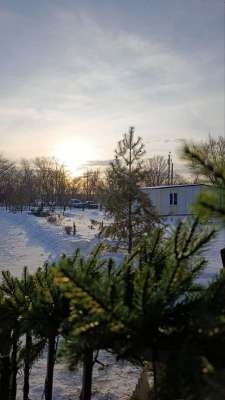 Фотография отзыва, Новопавловка в январе 2026 г.