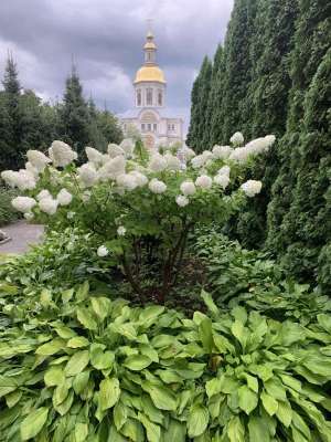 Фотография отзыва, Дивеево на выходных 7 - 9 августа 2026 г.