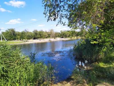 Село Большая Черниговка, Паломнический центр «Святая Русь»