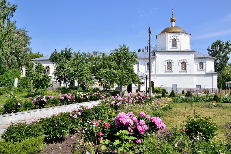 Макаровка, лечение